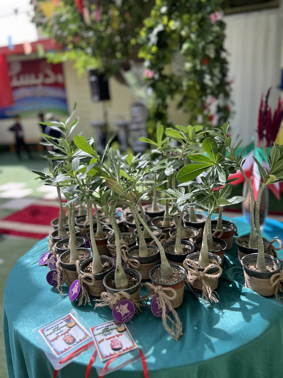 جشن شکوفه ها